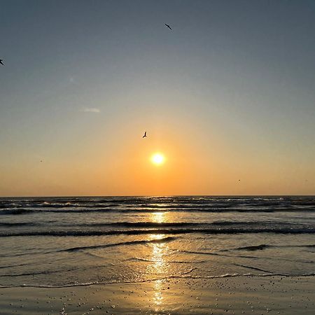 Excelsior Apartaments Mamaia Nord Năvodari Exteriör bild