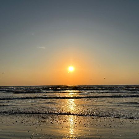 Excelsior Apartaments Mamaia Nord Năvodari Exteriör bild