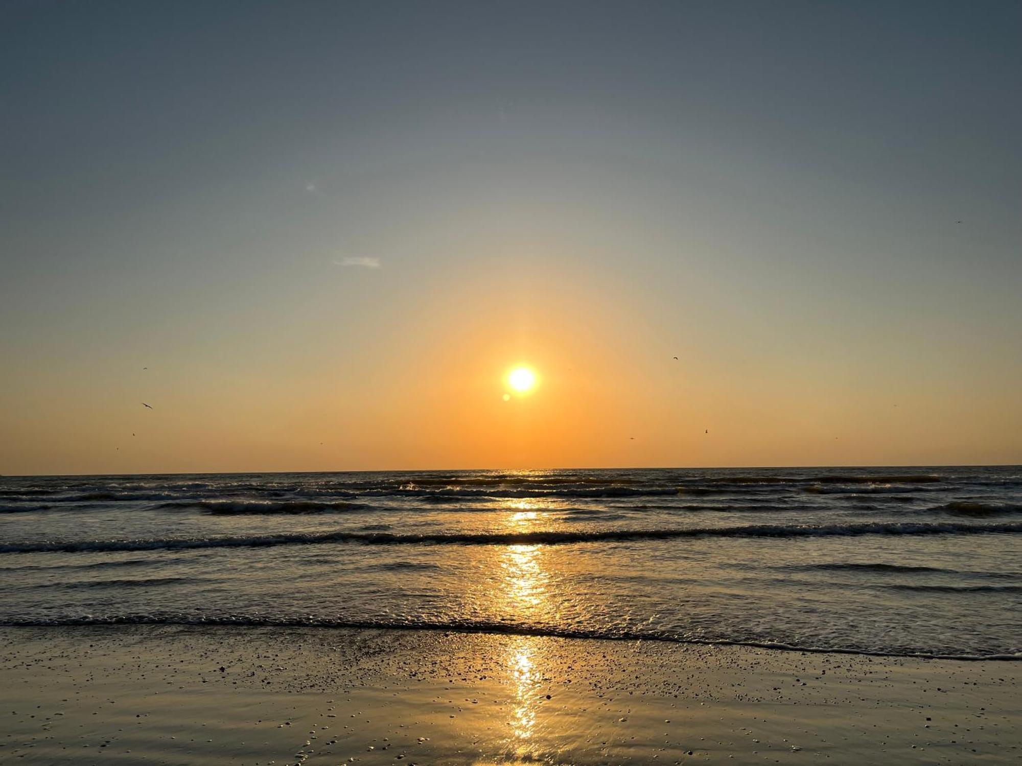 Excelsior Apartaments Mamaia Nord Năvodari Exteriör bild